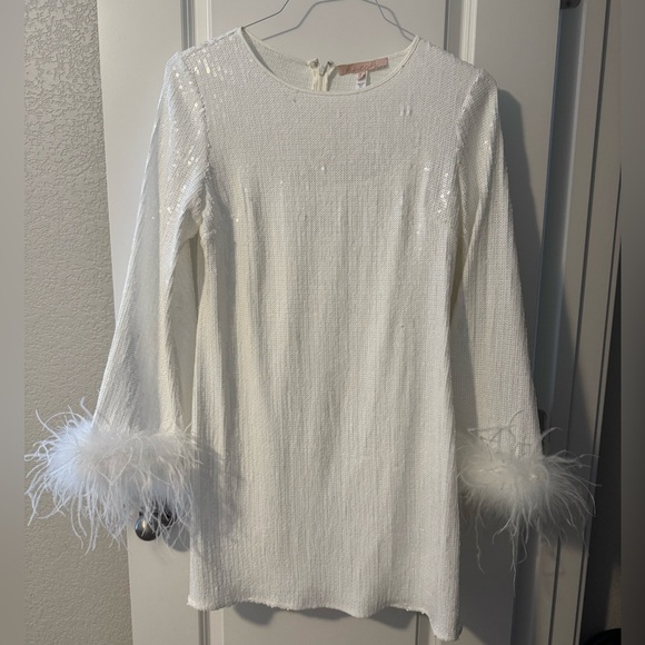 Anthropologie Hutch Alissa Faux Feather Long-Sleeve Sequin Mini Dress - Picture 4 of 9